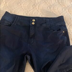 Chic Denim Women's Blue Jeans size 20